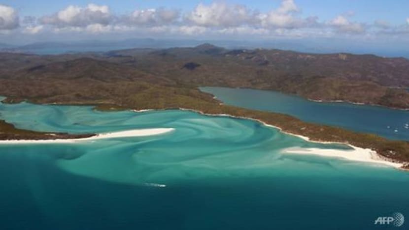 Dua perenang cedera diserang ikan yu di Australia