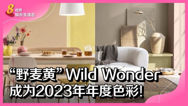“野麦黄”Wild Wonder成为2023年年度色彩！