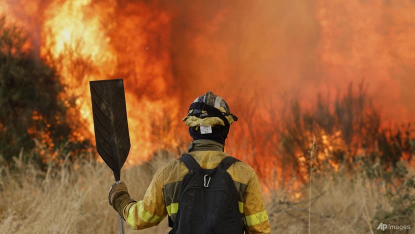 Pilgrimage route cut as Spanish wildfires spread to Picos de Europa mountains Pilgrimage route cut as Spanish wildfires spread to Picos de Europa mountains
