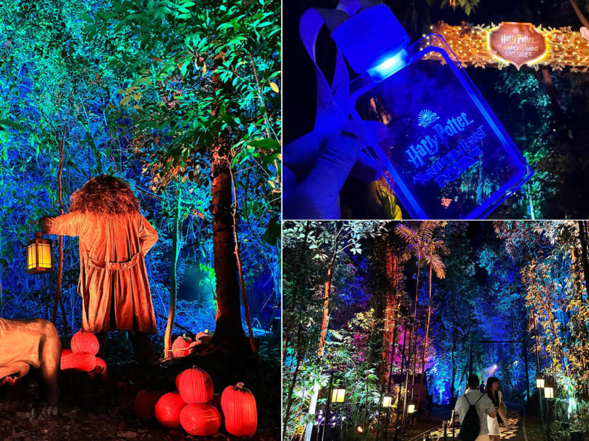 What to expect at the Harry Potter Forbidden Forest Experience in Singapore &mdash; Potterheads, here&rsquo;s a first look