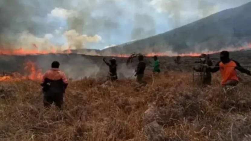 Kebakaran Bromo: Bakal mempelai mohon maaf jadi punca Bukit Teletubbies terbakar Kebakaran Bromo: Bakal mempelai mohon maaf jadi punca Bukit Teletubbies terbakar