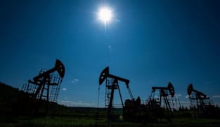 Oil little changed amid fading risk premium after Gaza deal