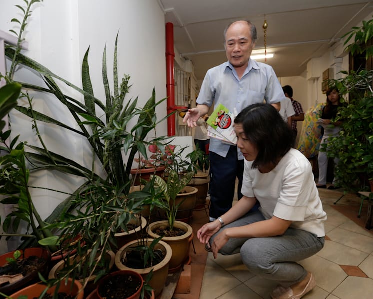 Sales of insect repellents spike in Bedok after Zika cases confirmed there