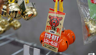 Japan confirms year's first fatal bear attack, two others suspected