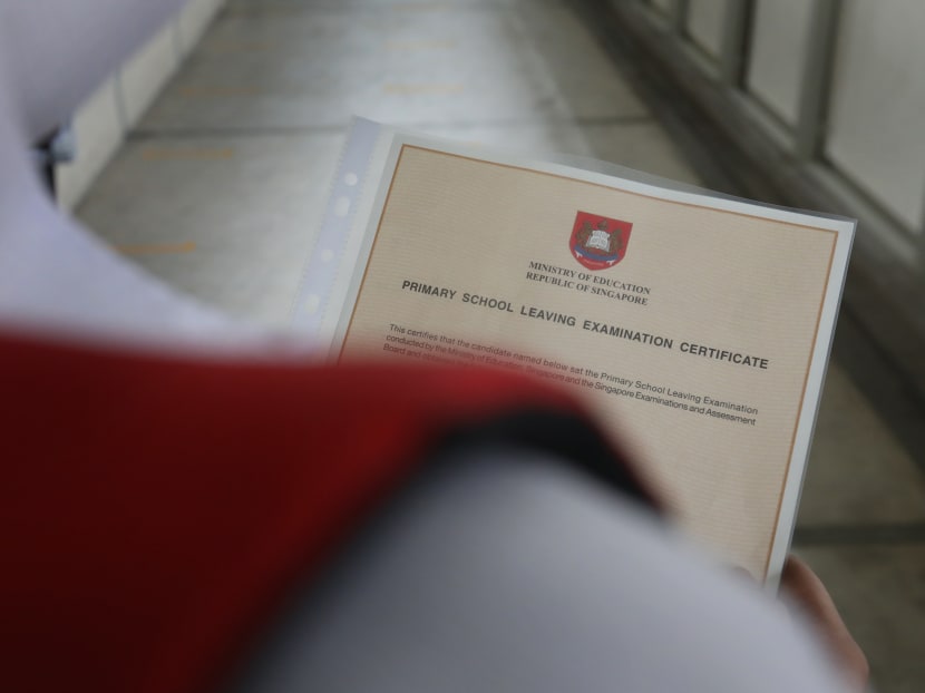 More than 90 per cent of students who took the PSLE this year got posted to a school from their first six choices More than 90 per cent of students who took the PSLE this year got posted to a school from their first six choices
