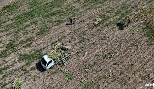 El Nino to be 'very strong', last until February, UN warns