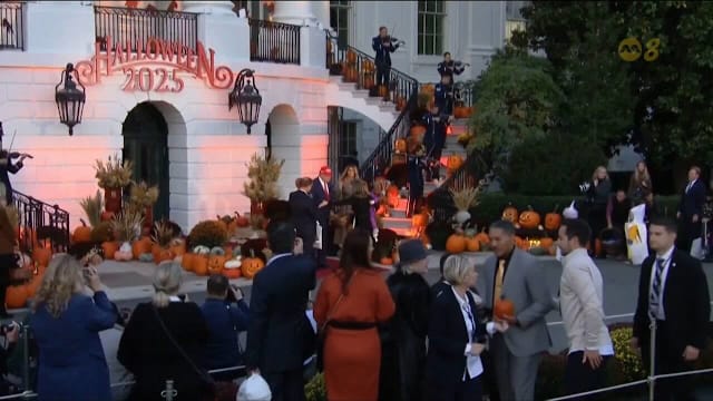 受关税和气候变化影响 美国万圣节糖果售价料飙10.8%