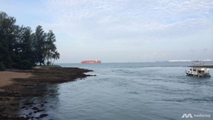 "Serpihan mengandungi asbestos" dijumpai di Pulau Subar Besar