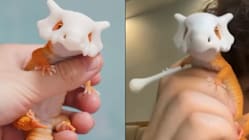 Related article image