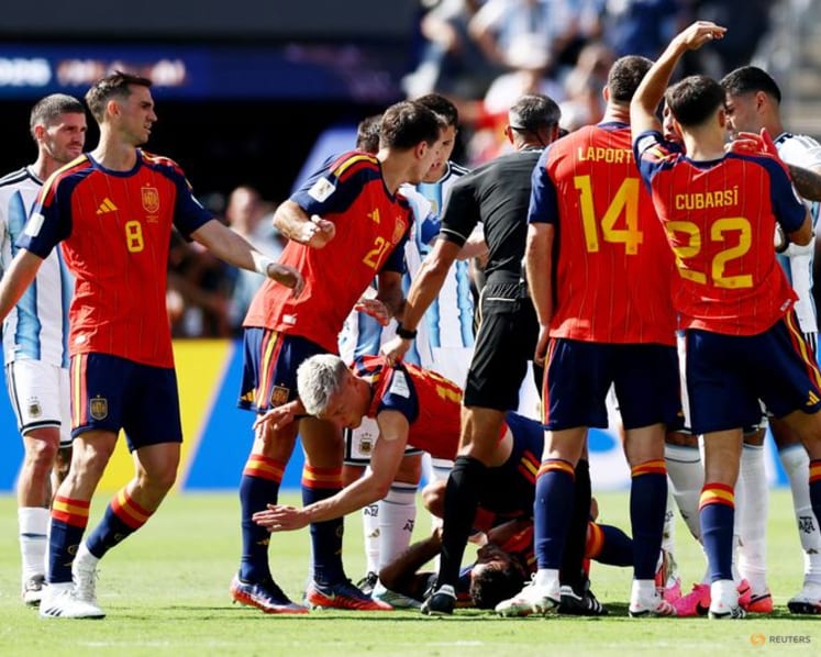 Argentina assistant Ayala says sorry for Olmo incident after World Cup final