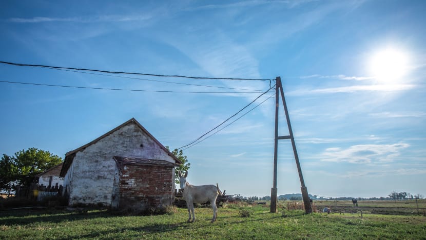 Ramalan tidak tepat, Hungary pecat ketua agensi cuaca Ramalan tidak tepat, Hungary pecat ketua agensi cuaca