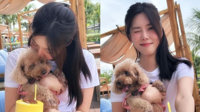 爱犬肩膀脱臼，黄思恬泪流不止