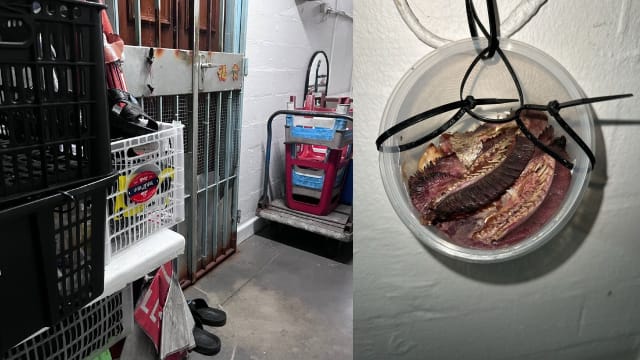 邻居每天门口挂腐臭食物 男子：看到那个盒子就怕