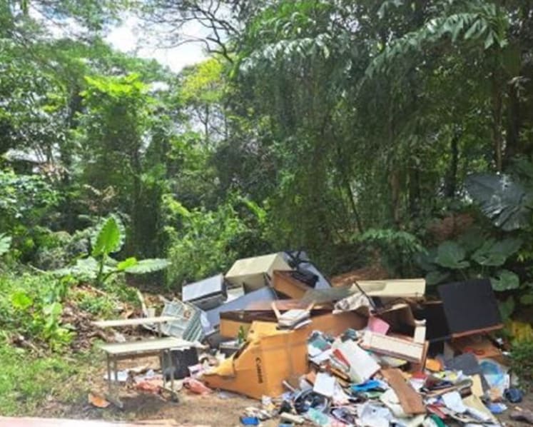 Moving company supervisor fined for illegally disposing furniture at secluded spot