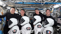 Related article image