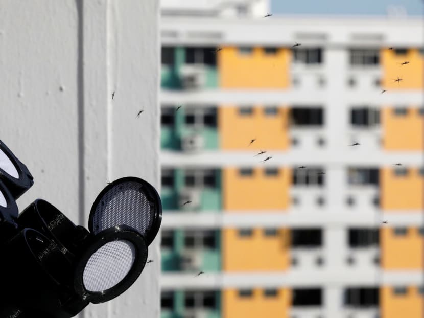 Number of Project Wolbachia mosquitoes released is constantly reviewed to maintain suppression of dengue: NEA Number of Project Wolbachia mosquitoes released is constantly reviewed to maintain suppression of dengue: NEA