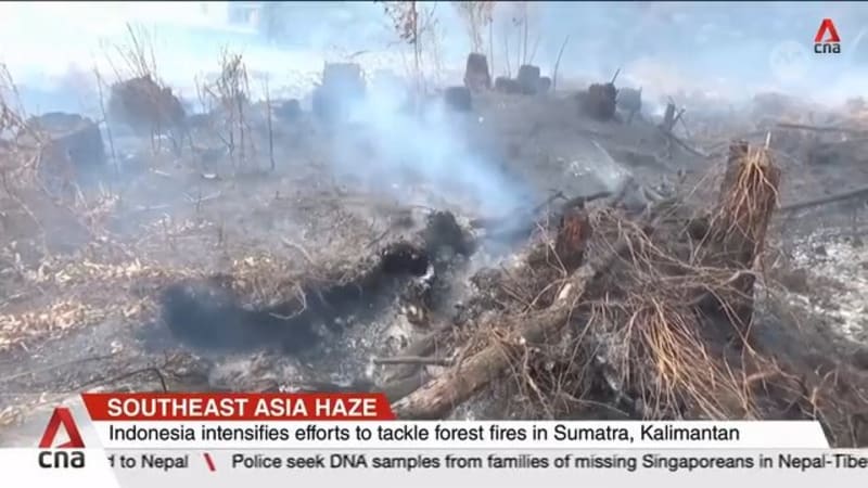 Haze is choking parts of Southeast Asia as wildfires continue to spread in Indonesia