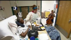 Related article image