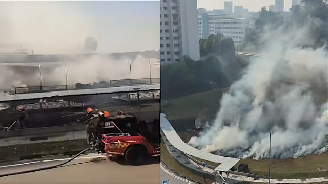 我国上半年发生162起植被火患 同比激增超过两倍