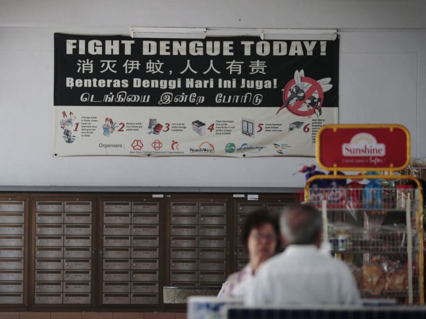 Artificial intelligence is already being looked at in Singapore for its potential in forecasting incidence of dengue fever. Researchers get it to learn season patterns of the disease over the last decade. TODAY file photo