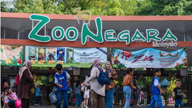 旅马熊猫“辰星”“晓月”完成隔离  近日将对外开放