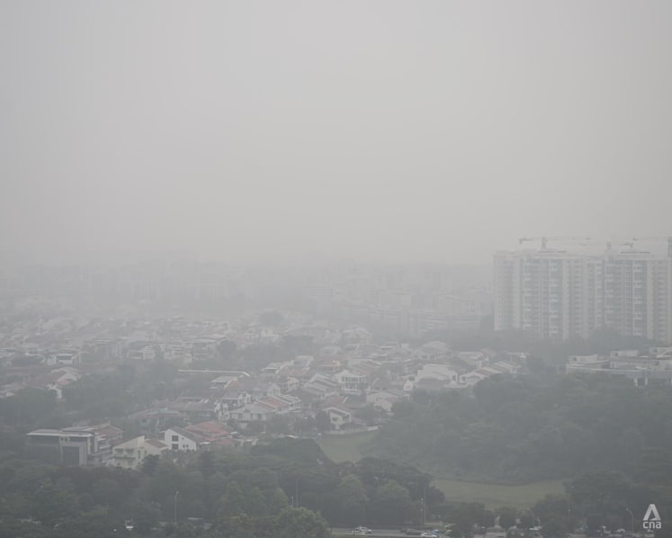 N95 masks to be distributed to more vulnerable individuals once 24-hour PSI exceeds 200: Haze Task Force N95 masks to be distributed to more vulnerable individuals once 24-hour PSI exceeds 200: Haze Task Force