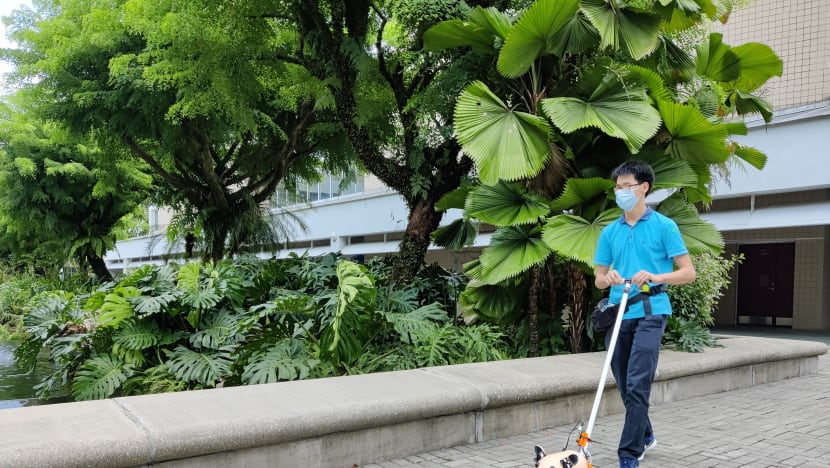 Nanyang Polytechnic students develop robot guide dog on wheels to help vision impaired