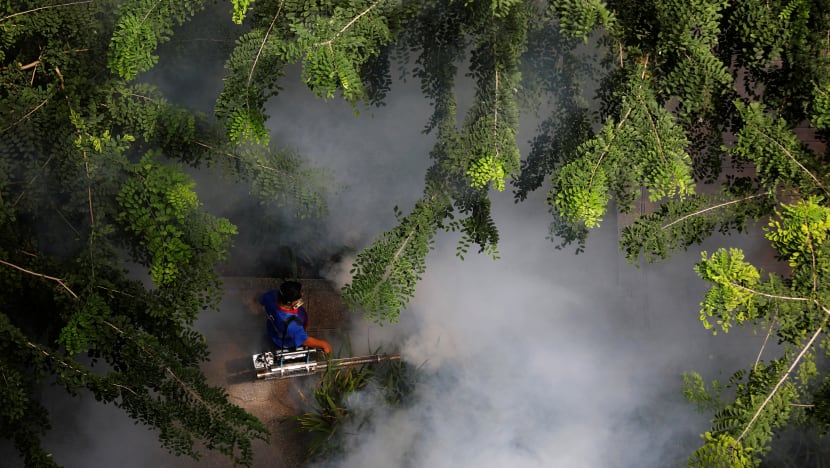 As dengue cases surge, NEA calls for urgent community effort to reduce mosquito breeding habitats