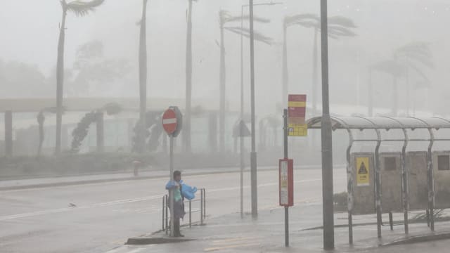 超强台风桦加沙逐渐远离香港 56人在风暴期间受伤