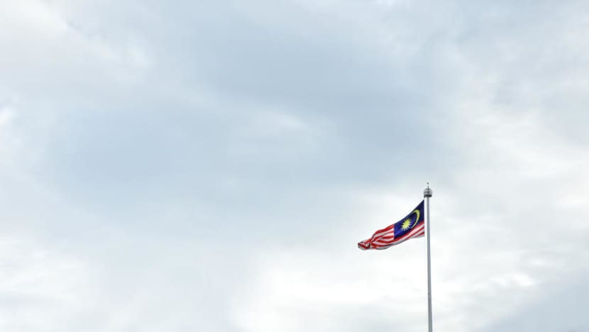 Malaysia complains to Vietnam over South China Sea reef expansion, sources say Malaysia complains to Vietnam over South China Sea reef expansion, sources say