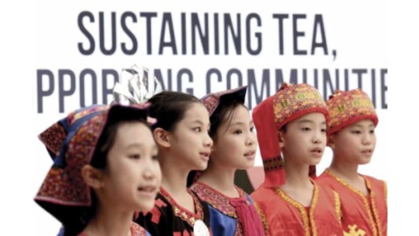 Rainforest Tea Culture from Wuzhishan, China, Debuts in Rome