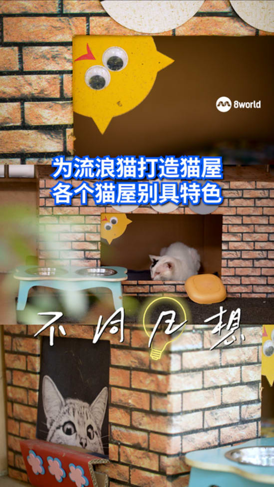 me cat house vertical video