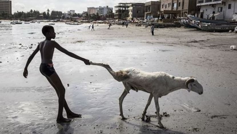 Gambar Pilihan Hari Ini