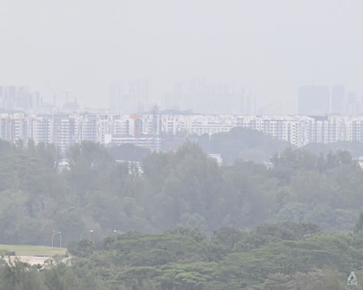 Burning smell across Singapore may be due to 'mixture of gases' from region's peatland, vegetation fires: NEA