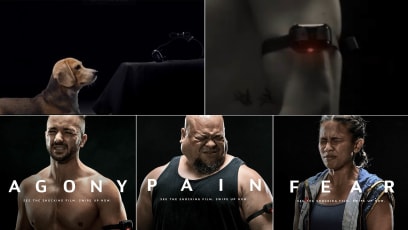 These Athletes Wear Electric Shock Dog Collars & Get Zapped To Support SPCA's Call To Ban E-Collars In Singapore