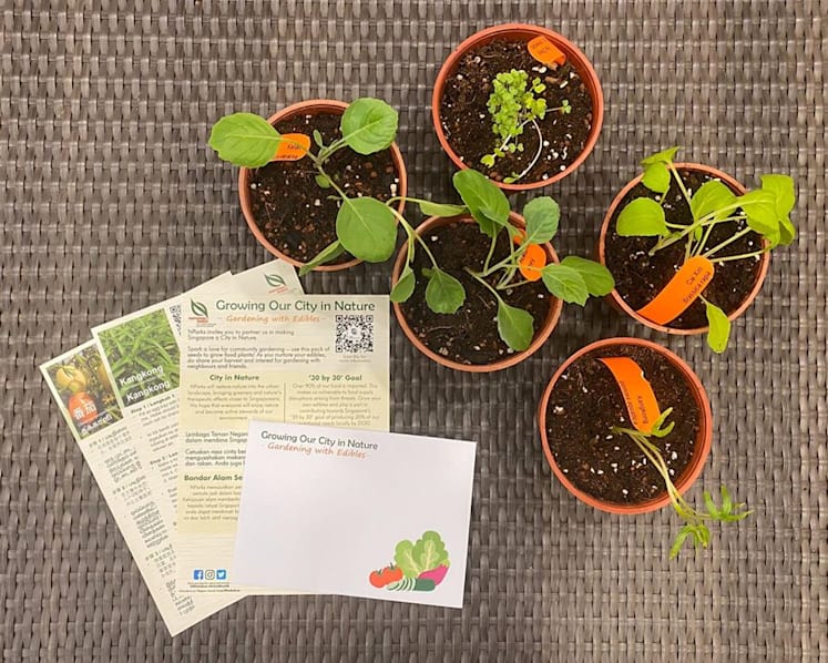 NParks to give packets of vegetable seeds to households to encourage home gardening