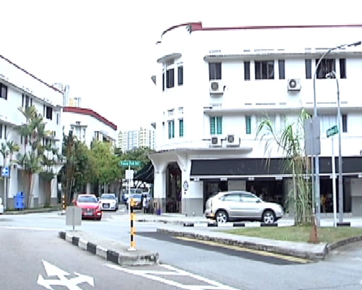 Commentary: How should Singapore decide what to conserve?