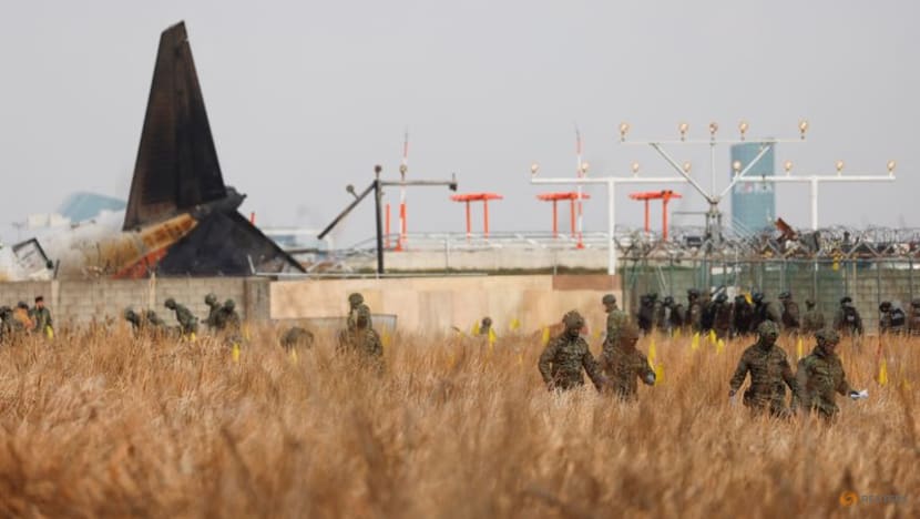 Bird strikes a common hazard, but aviation experts say there’s more to Jeju Air crash Bird strikes a common hazard, but aviation experts say there’s more to Jeju Air crash