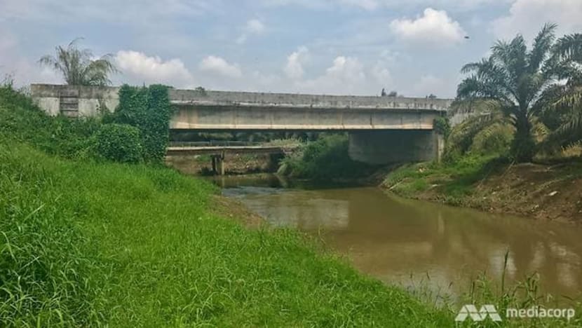 Pencemaran ammonia Sungai Sayong jejas bekalan air 17,000 keluarga di Kulai