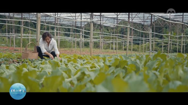星期二特写 | 到金马仑树屋自由放飞