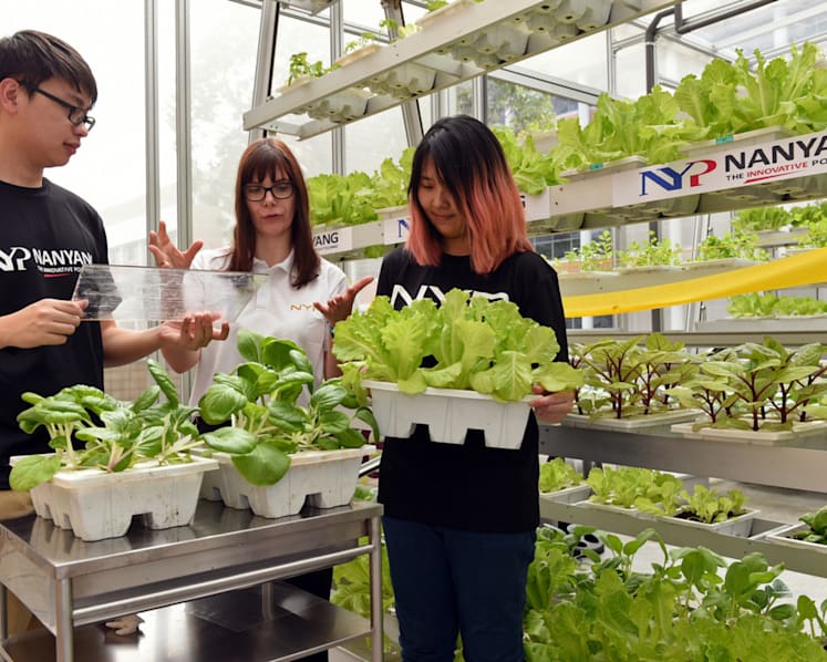NYP team develops glowing breakthrough for food farming