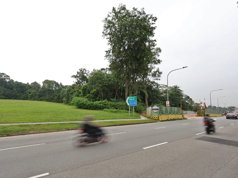 Commentary: Controversy over new Mandai columbarium — how to develop more after-death facilities without trodding on residents’ concerns?