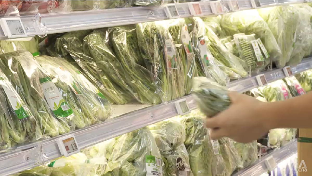 New NTU AI model tracks food freshness in efforts to reduce waste, boost food security