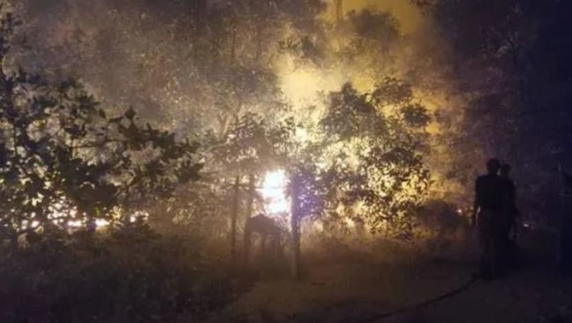Hutan seluas 5 hektar terbakar di Terengganu akibat cuaca panas