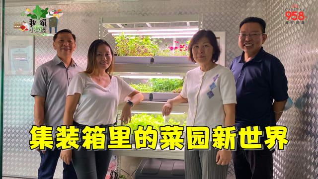 【我家小菜园】第五集：集装箱里的菜园新世界