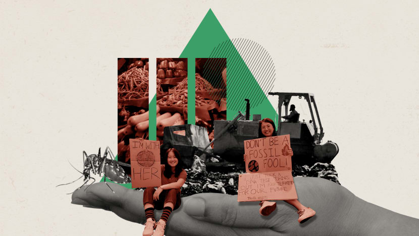 Look Ahead 2020: Environment — Food security to take centre stage while climate change activism forges ahead