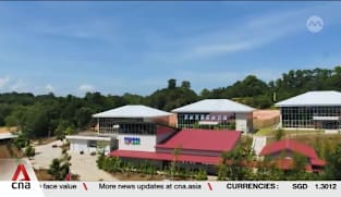 Singapore firms eyeing opportunities in Indonesia's Batam, Bintan and Karimun islands