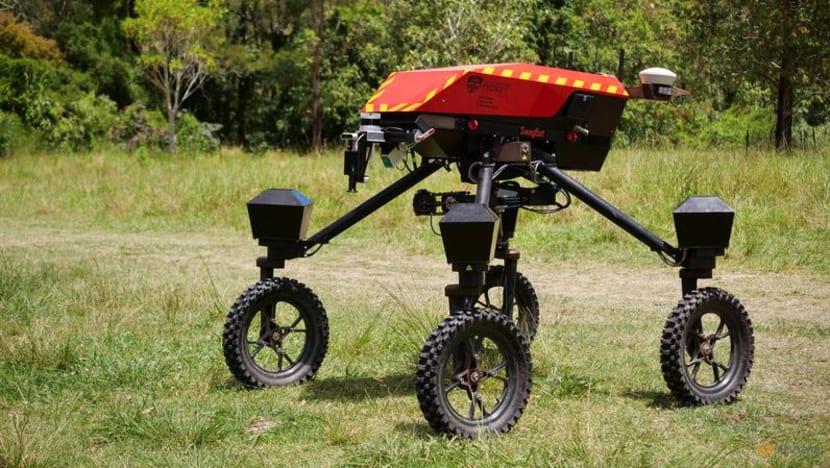 Meet SwagBot, the AI-powered robot cattle herder preventing soil degradation