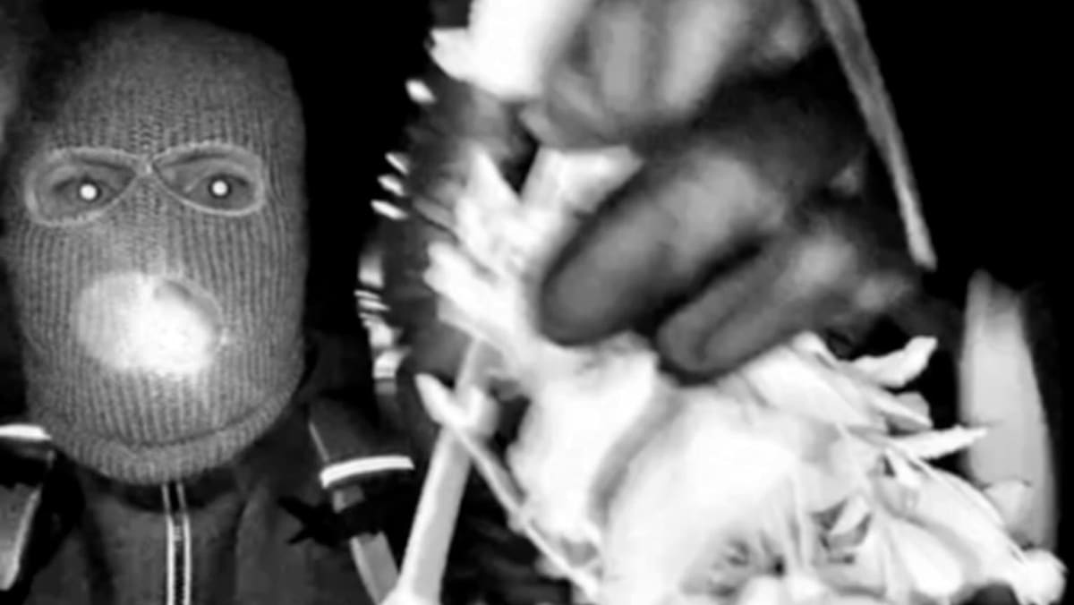 FBI releases first surveillance images of masked person on Nancy Guthrie's porch