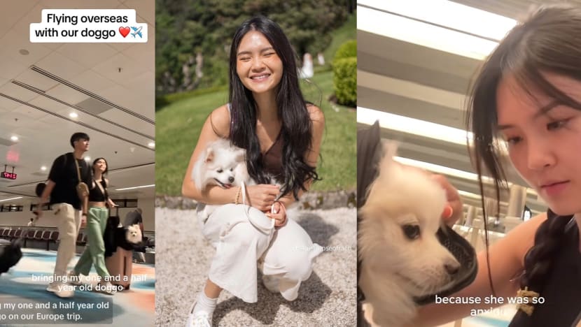 Ex Mediacorp Child Actress Travels With Pet Dog On Swiss Air Flight For 21-Day Holiday To Europe Ex Mediacorp Child Actress Travels With Pet Dog On Swiss Air Flight For 21-Day Holiday To Europe